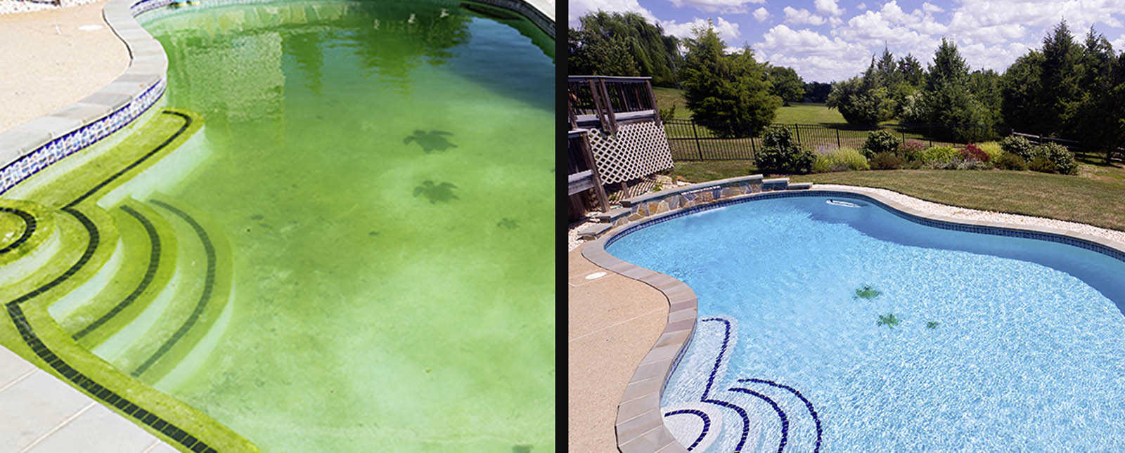 entretien piscine eau verte remèdes